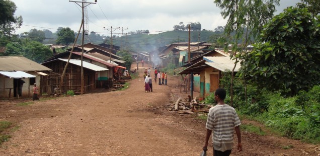 Pilot project Tschallia